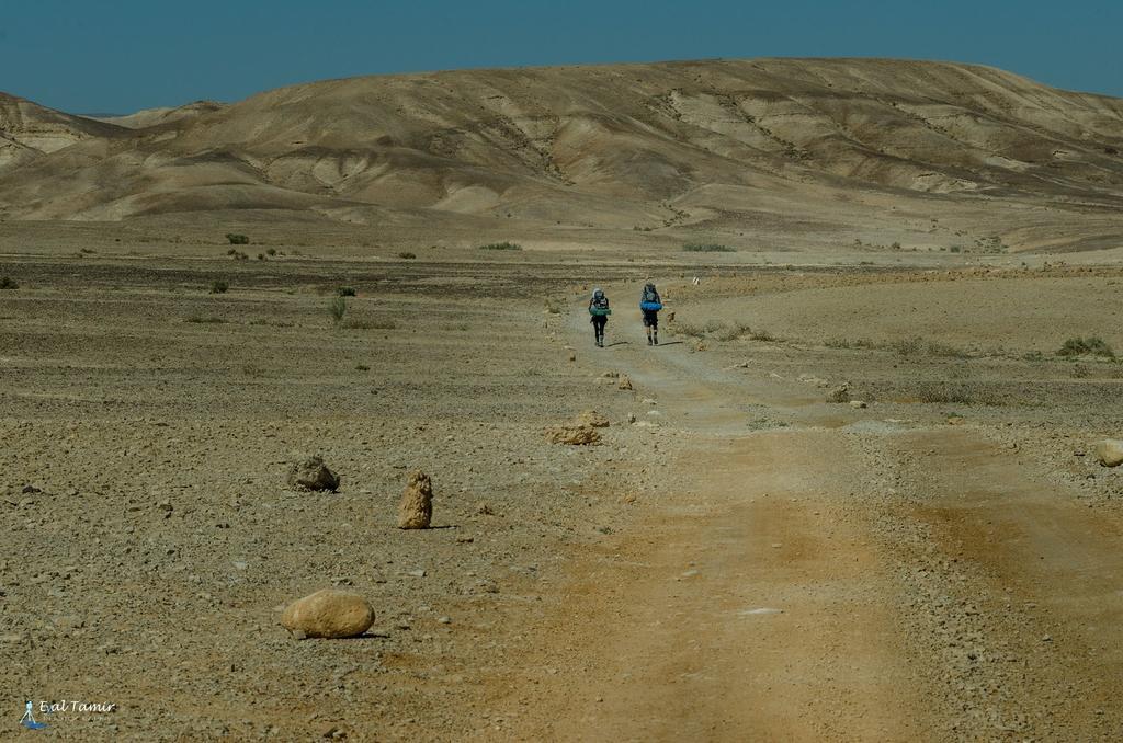 Desert Picture Arad Exterior photo
