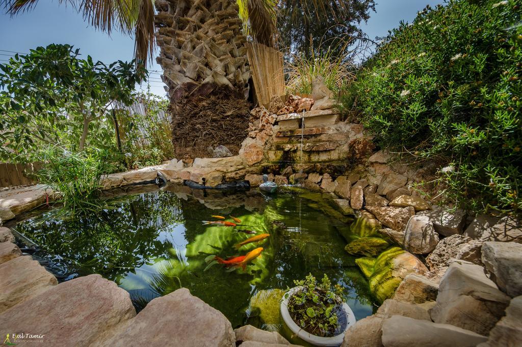 Desert Picture Arad Exterior photo