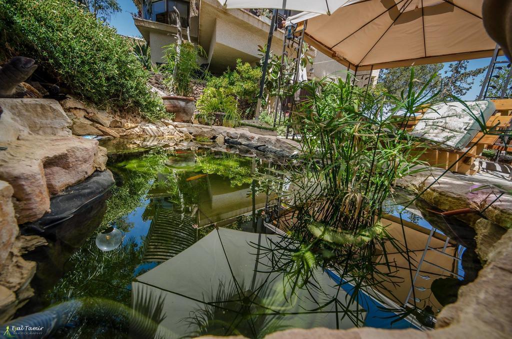 Desert Picture Arad Exterior photo