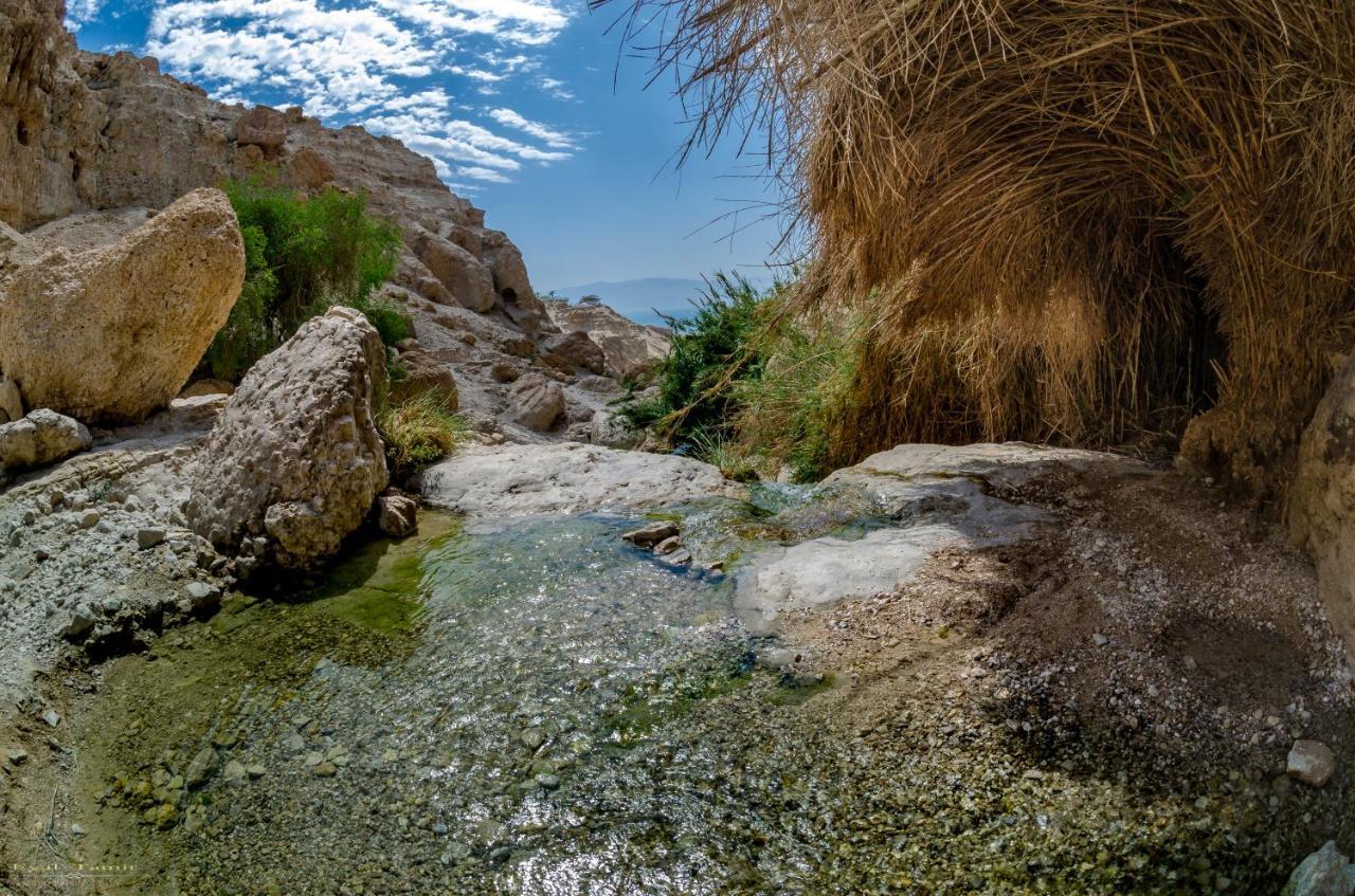 Desert Picture Arad Exterior photo