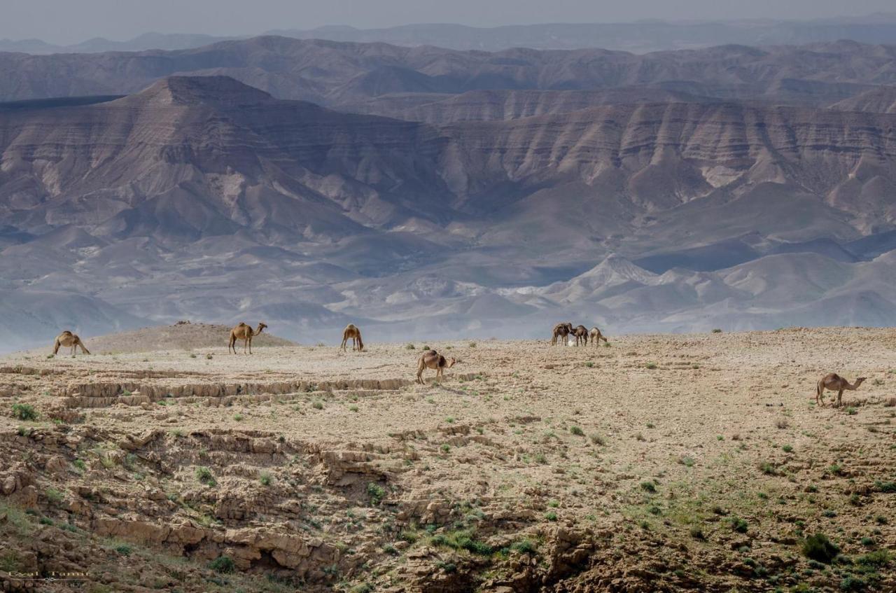 Desert Picture Arad Exterior photo